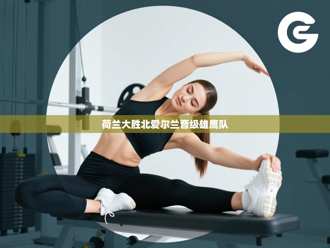 荷兰大胜北爱尔兰晋级雄鹰队