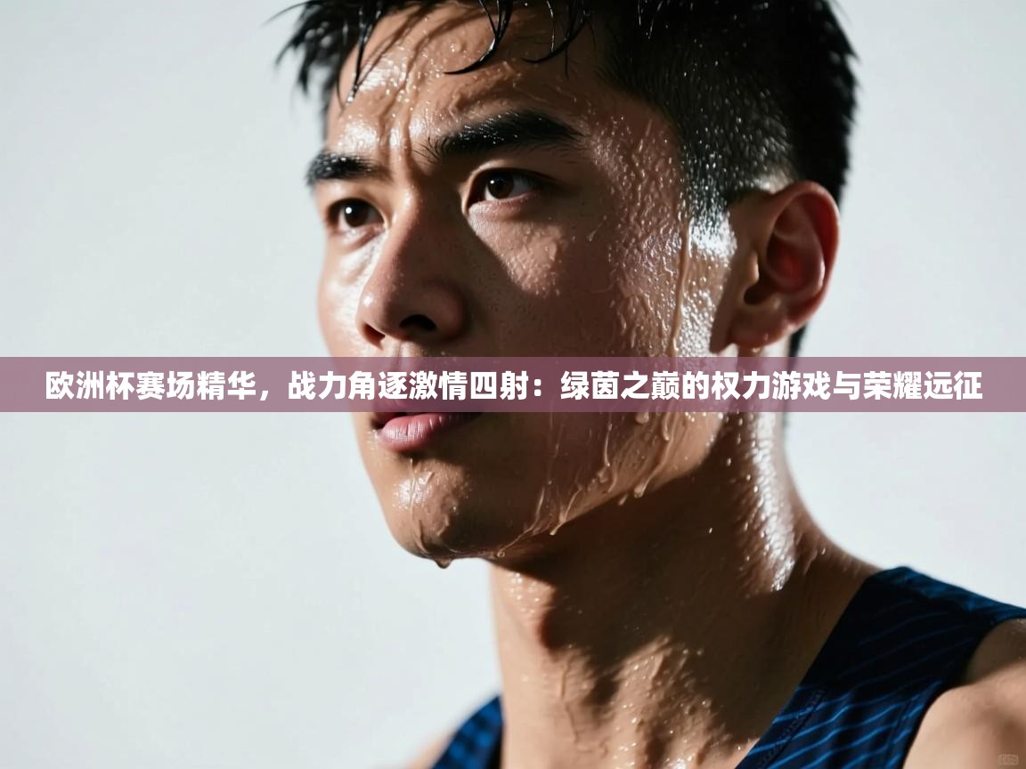 欧洲杯赛场精华，战力角逐激情四射：绿茵之巅的权力游戏与荣耀远征  第1张