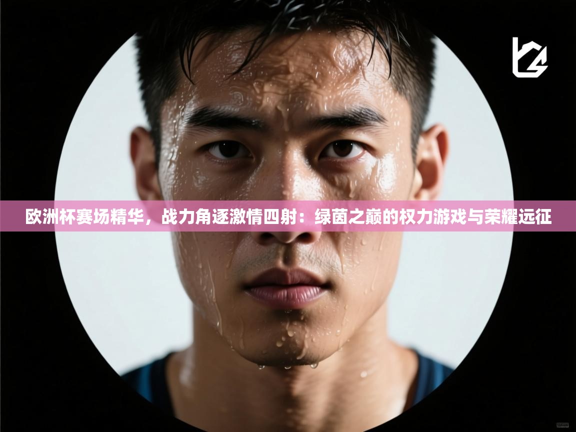 欧洲杯赛场精华，战力角逐激情四射：绿茵之巅的权力游戏与荣耀远征  第2张