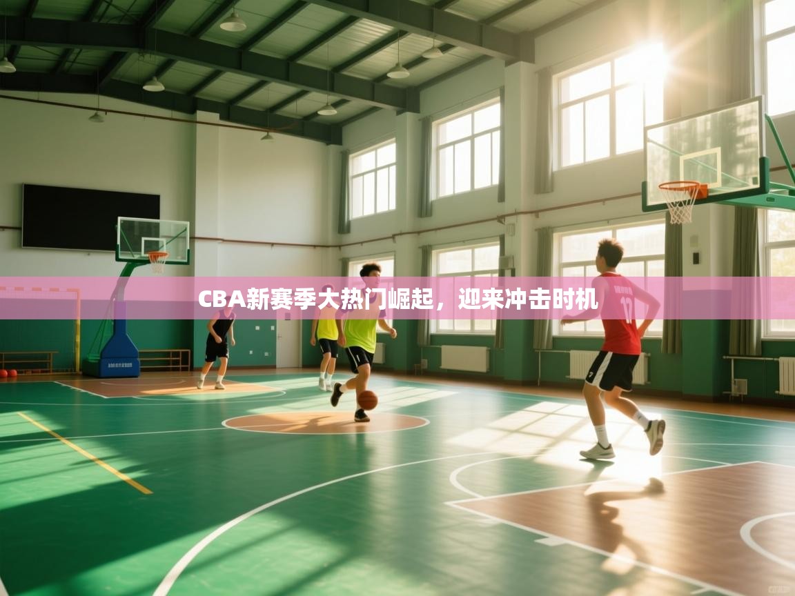 CBA新赛季大热门崛起,迎来冲击时机 第2张