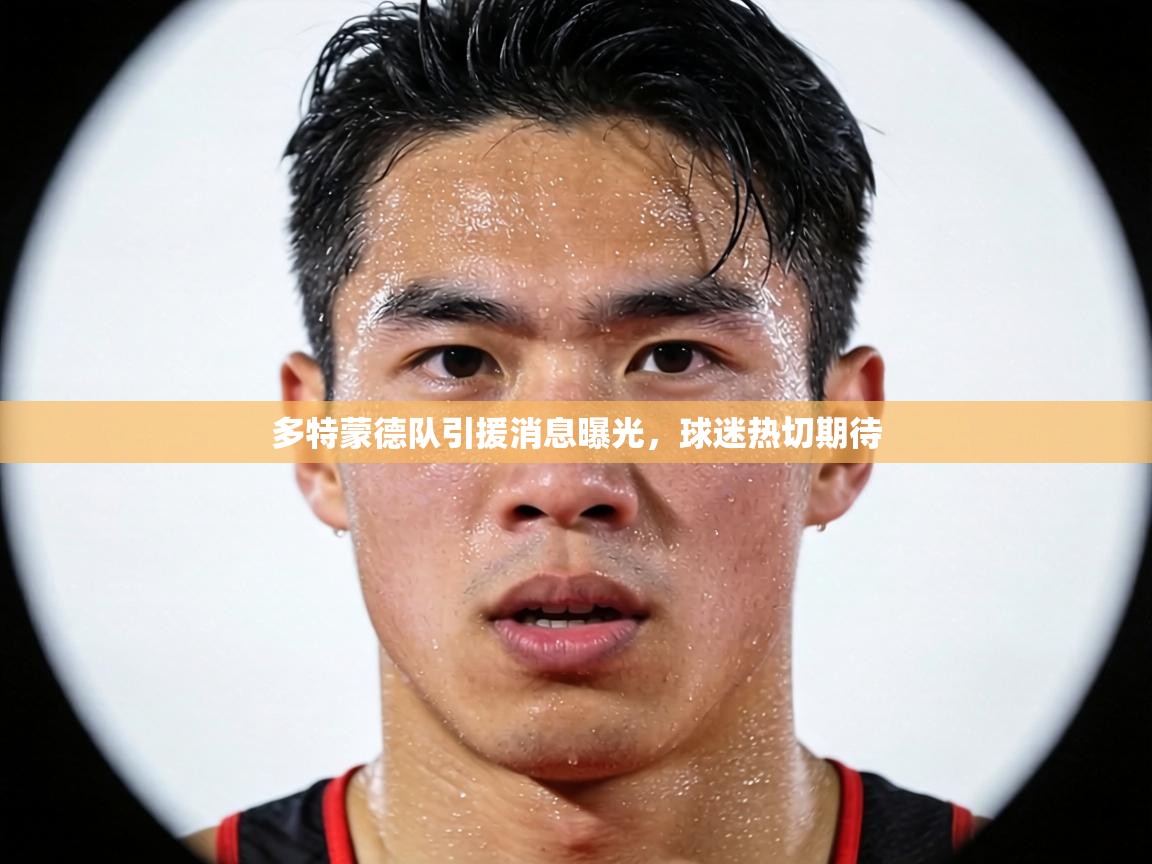 多特蒙德队引援消息曝光，球迷热切期待  第1张
